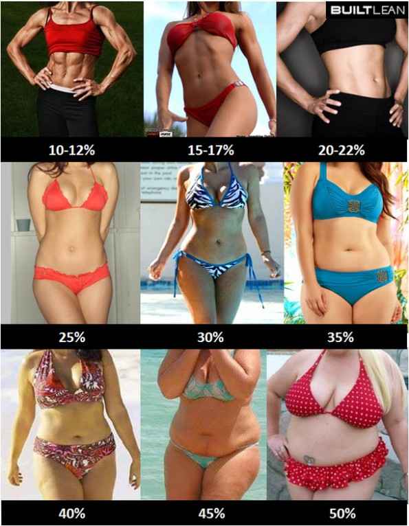 Percentual de gordura nas mulheres