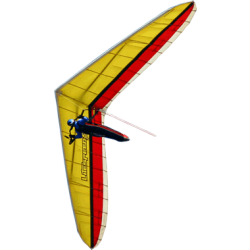 Group logo of Voar de asa delta